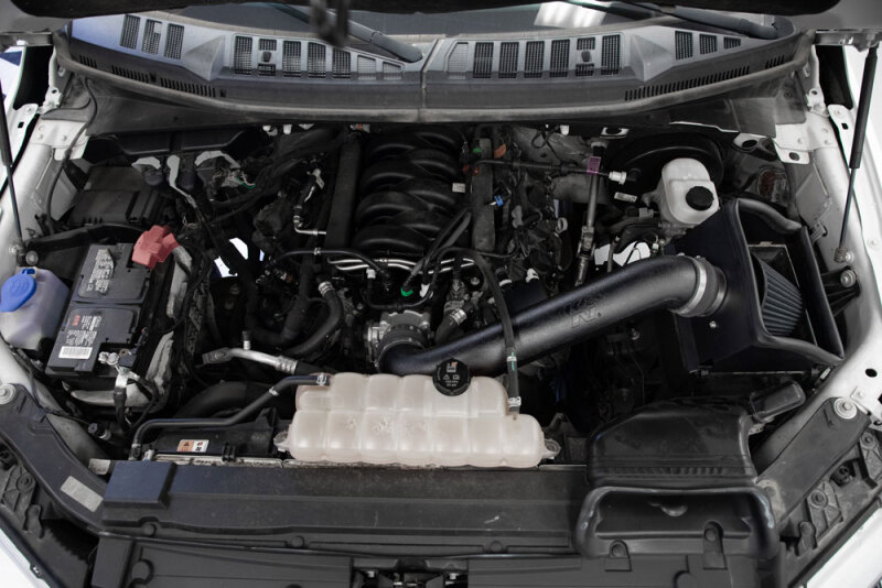 Ford F150 Performance Air Intake - K&N Engineering - DRYFLOW - `15-`20
